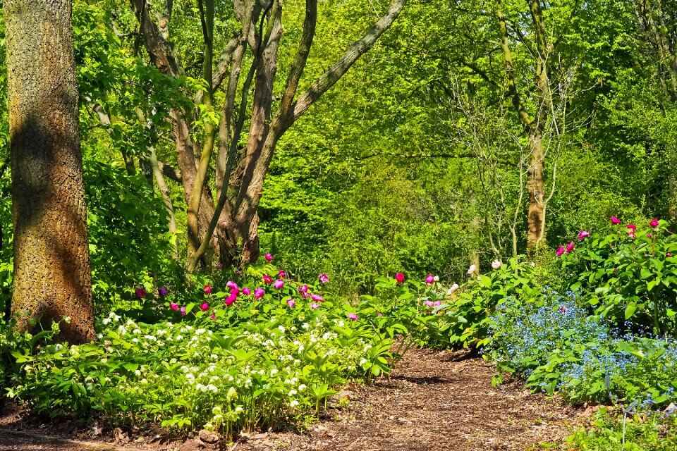 Agriculture spring meadow