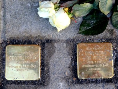 20141106_Stolpersteine_Stadskanaal_Barkelastraat3