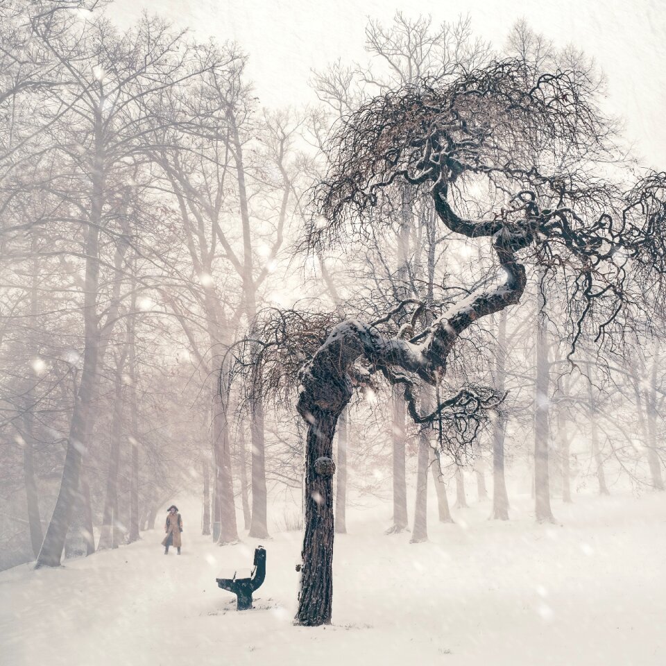 Person wintry snowy