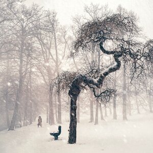 Person wintry snowy photo