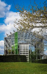Botanical garden modern clouds