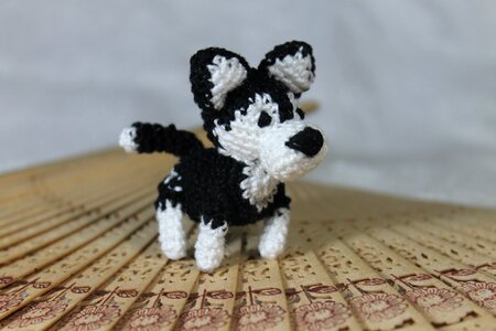 Animal cute dog