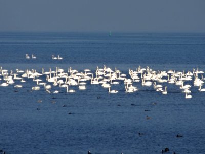 20141003_IJmeer1