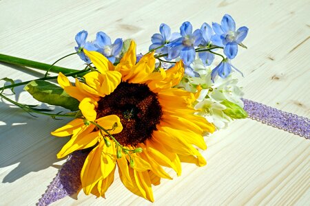 Bloom yellow summer