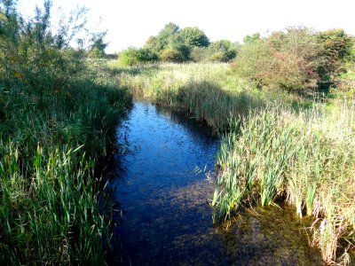 20141003_Kromslootpark4_nabij_Almere-Haven
