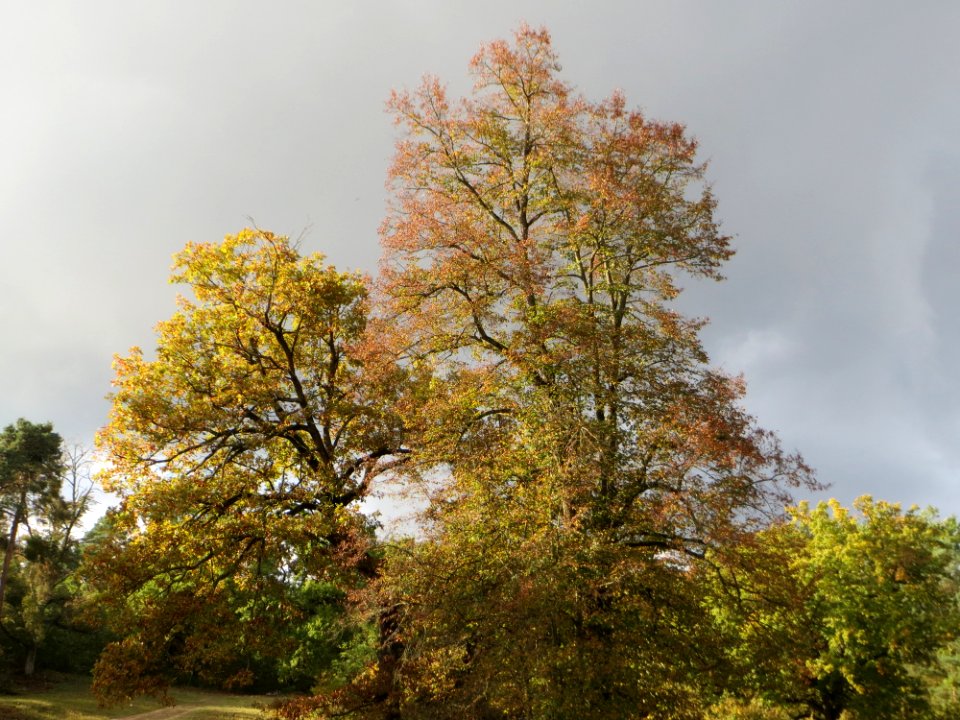 20141017Hirschacker_Duenen3