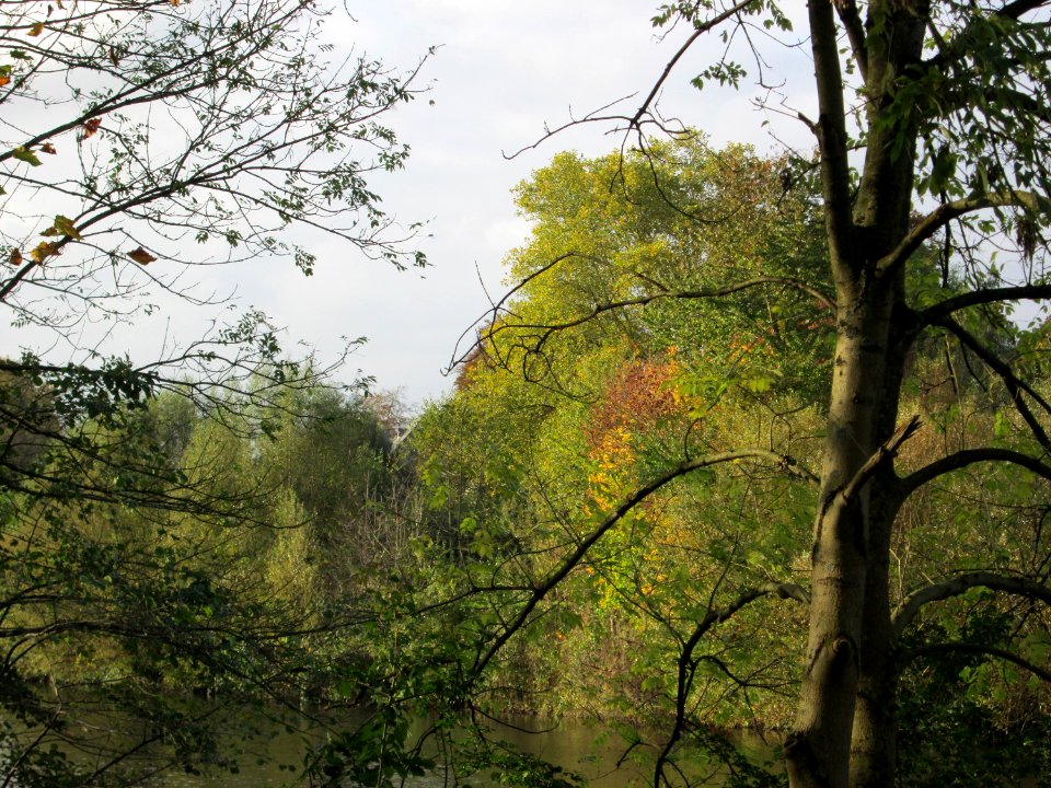 20141023Saarbruecken