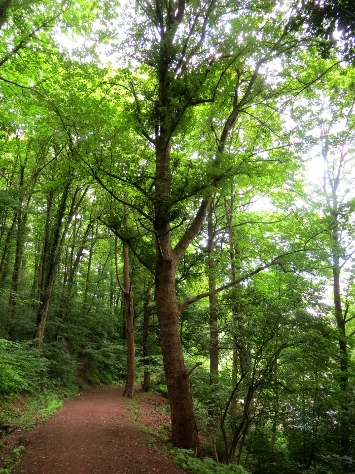 20140601Winterberg1