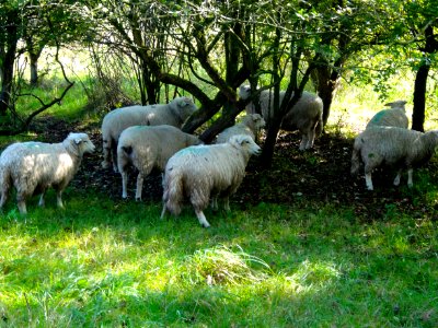 20141003_Kromslootpark2_nabij_Almere-Haven