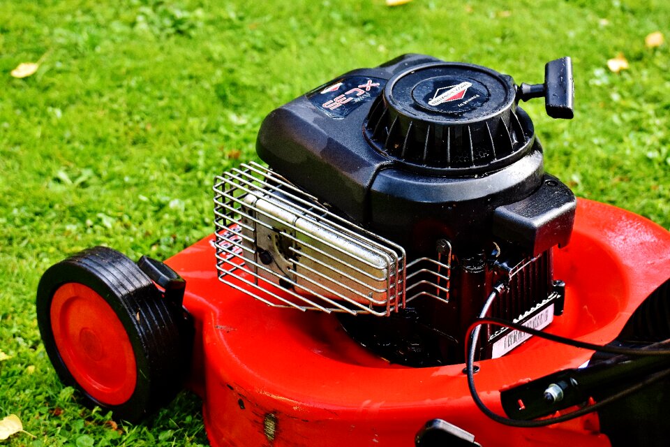 Cut grass grass surface garden