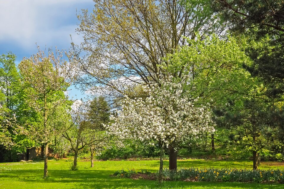 Agriculture spring meadow