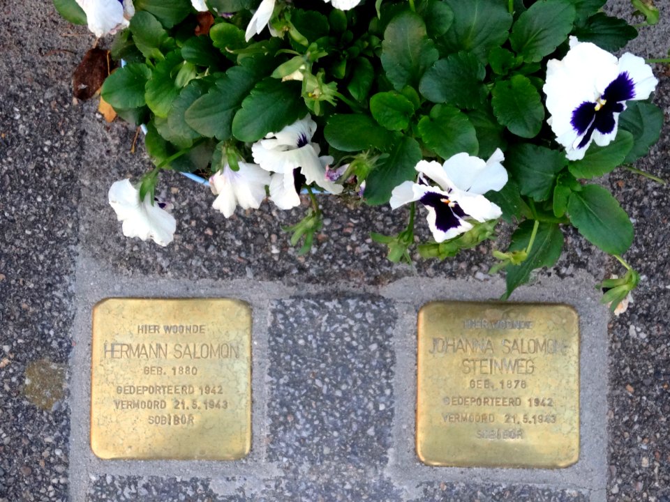 20141106_Stolpersteine_Stadskanaal_Gasselterstraat25