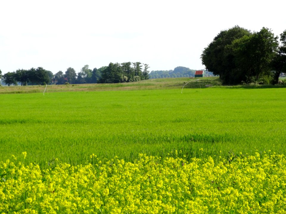 20140530_Zicht_op_Zuidert_Schokland