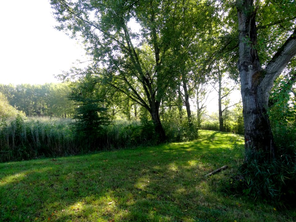 20141003_Kromslootpark3_nabij_Almere-Haven