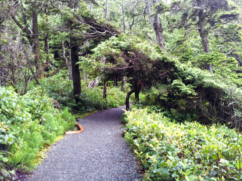 20140523_113013_Jpg_(218976095)