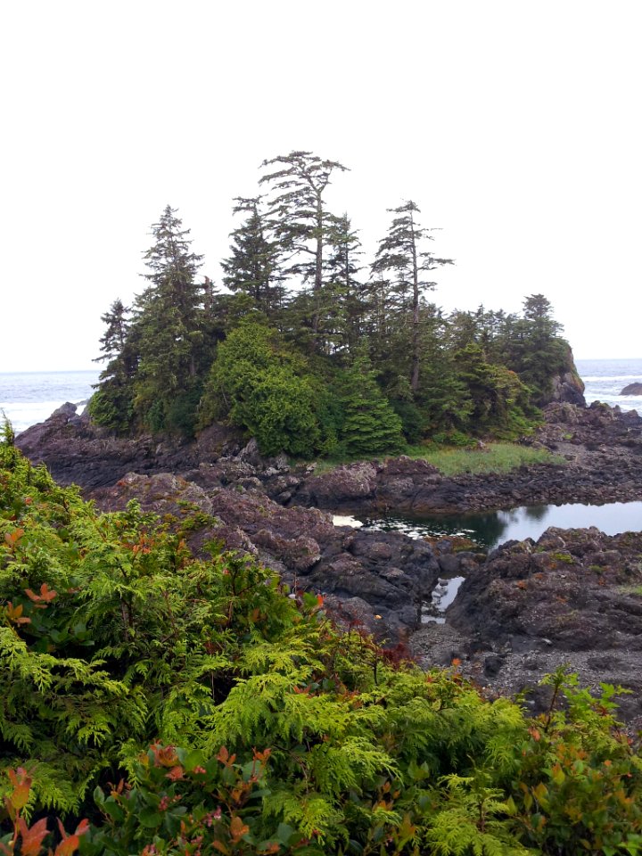 20140523_110925_Jpg_(218976123)