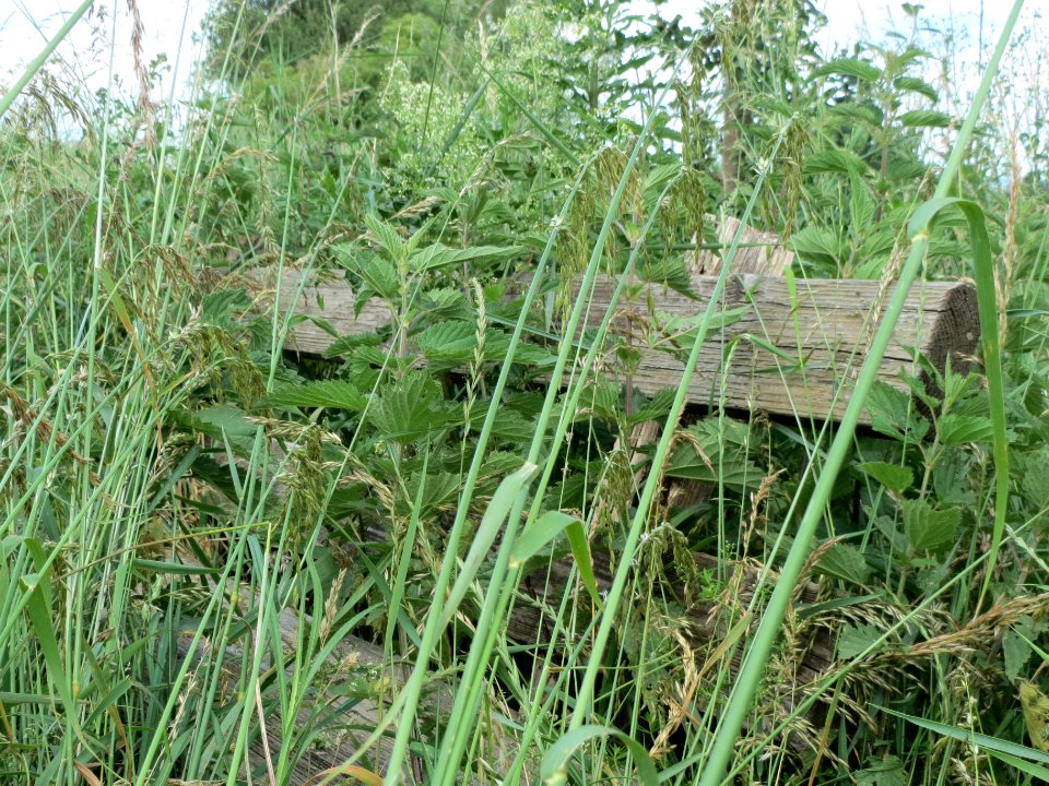 20140605Bank_Leopoldswiesen