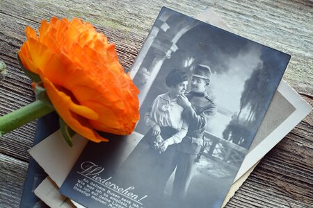 Past memories flower