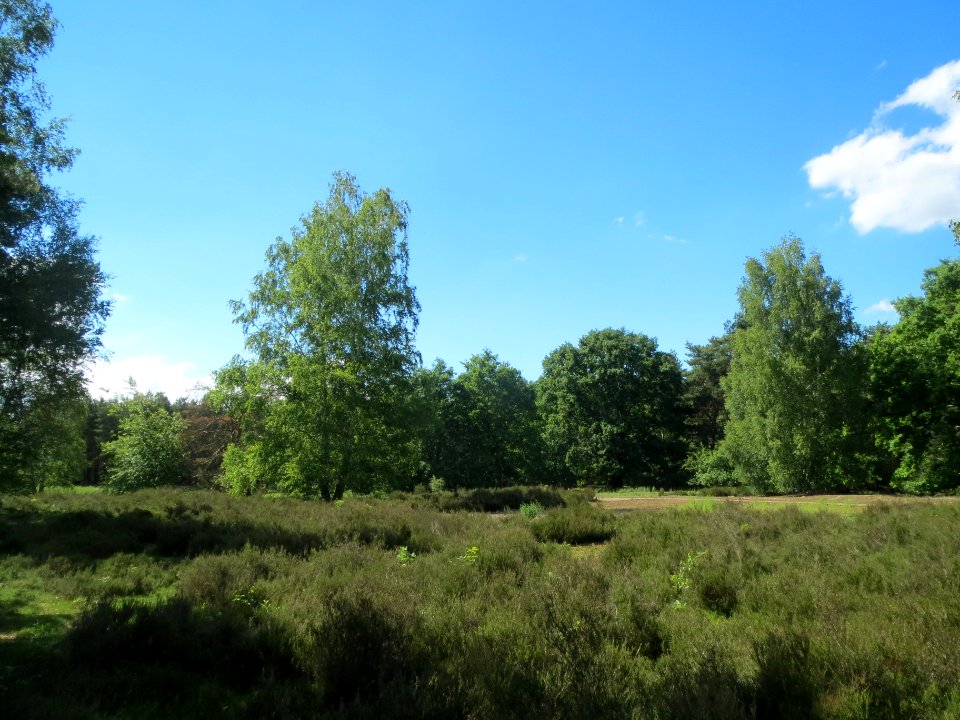 20140523Dossenwald2