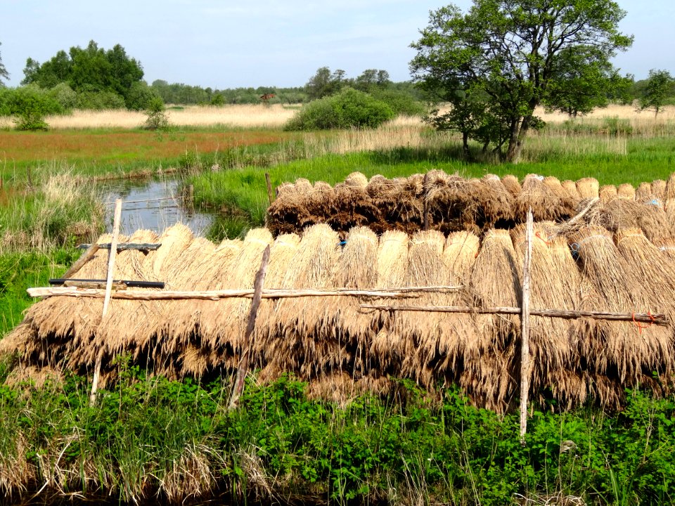 20140505_De_Wieden_vanaf_De_Bramen2