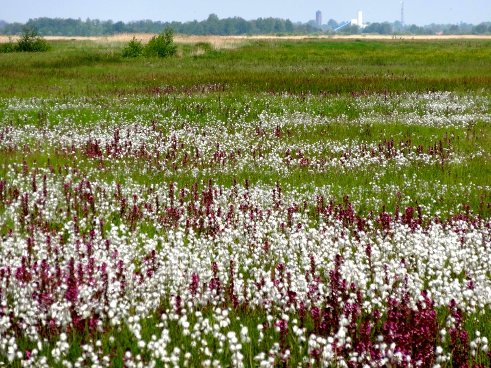 20140505_De_Wieden_vanaf_De_Bramen
