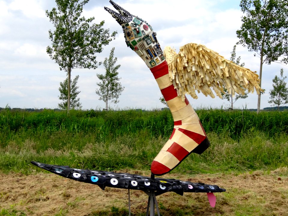 20140530_Surfvogel_door_Willem_Hoogeveen