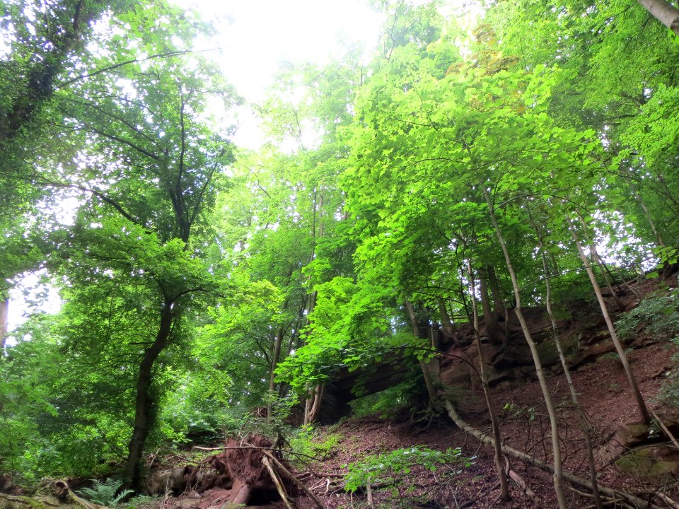 20140601Winterberg2