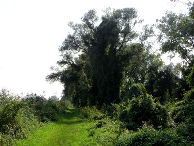 20140907Wagbachniederung1