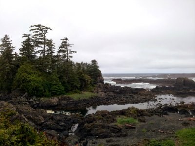 20140523_110932_Jpg_(218976093)