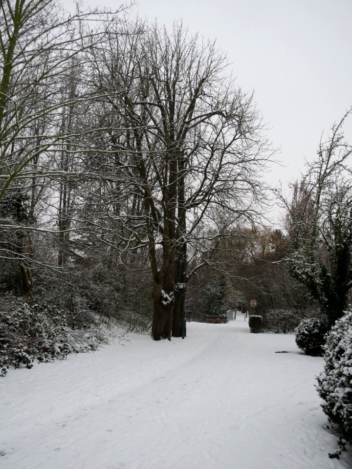 20141230Hockenheim3