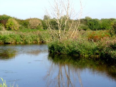 20140918_Gorzenveld_bij_Rassenbeektocht