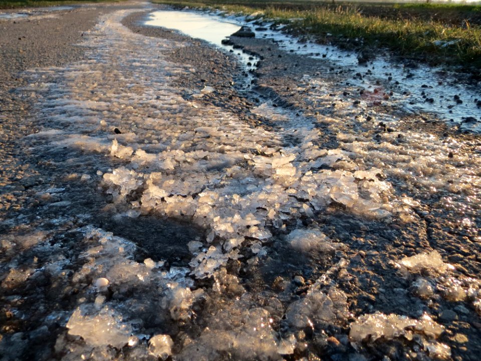 20141228Hockenheimer_Rheinbogen2
