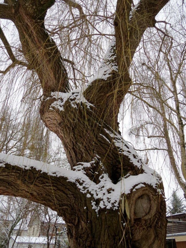 20141230Hockenheim5