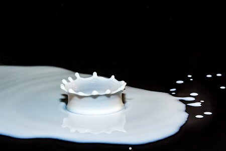Surface tension crown pattern drip photo
