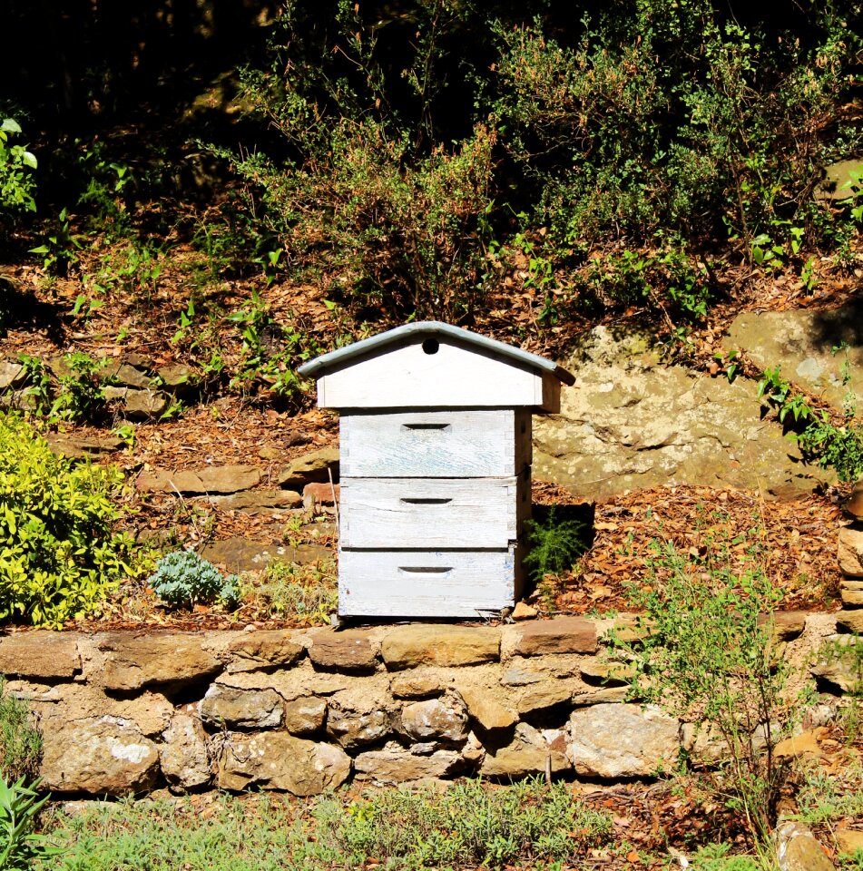 Garden blue hive beekeeper