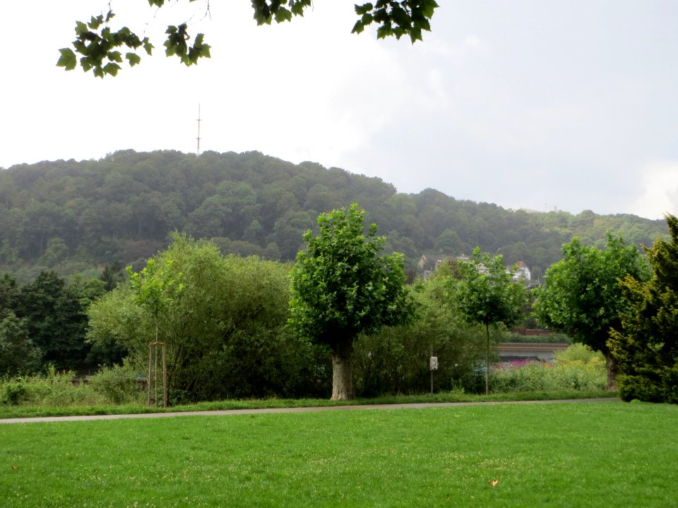 20140804Staden
