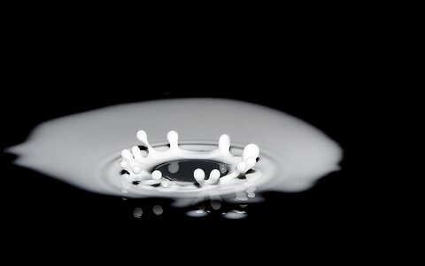 Surface tension drip milk photo