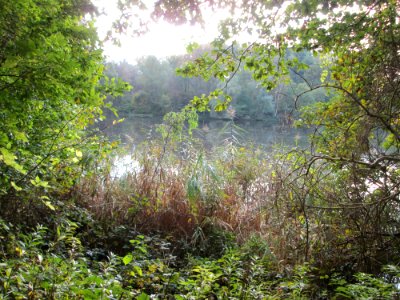 20141026Drahtzugweiher4
