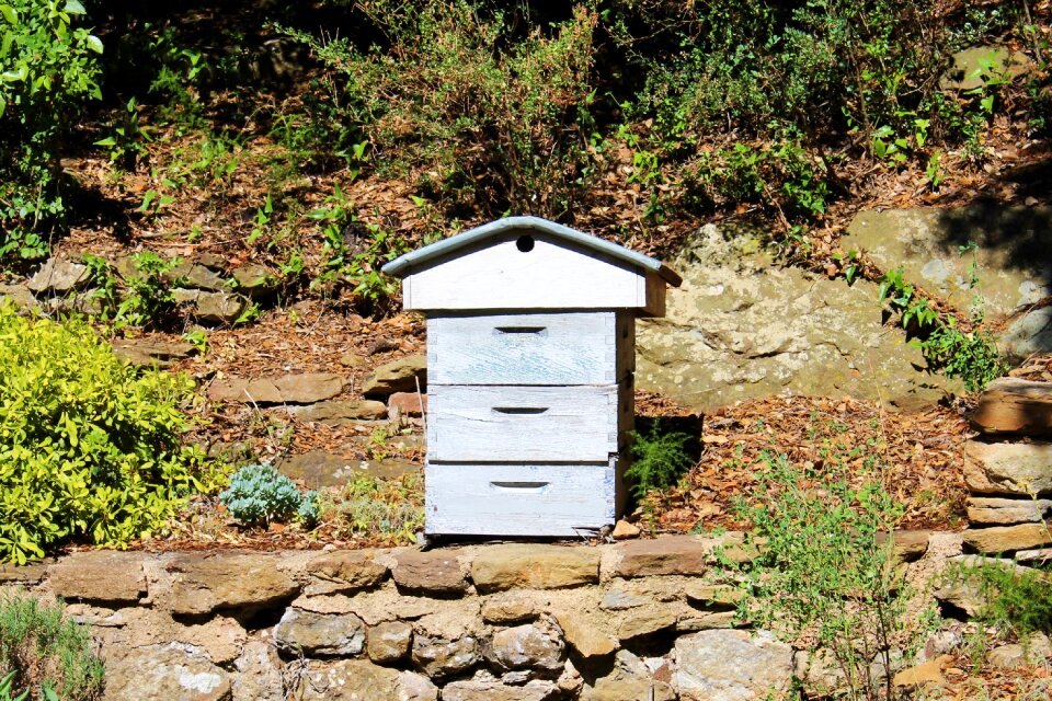 Garden blue hive beekeeper