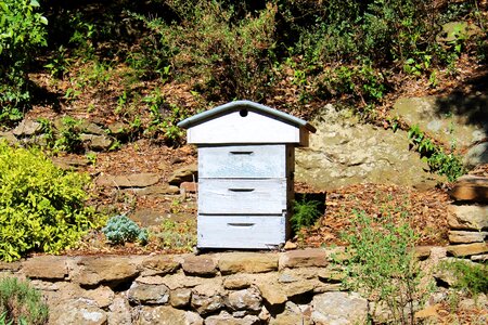 Garden blue hive beekeeper