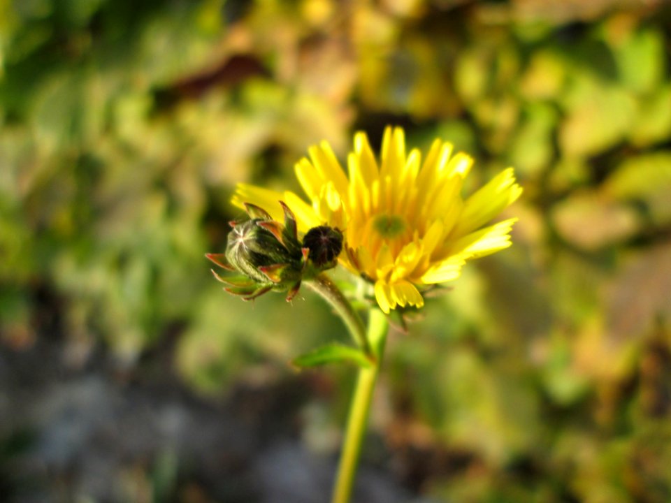 20141027Bürgerpark2