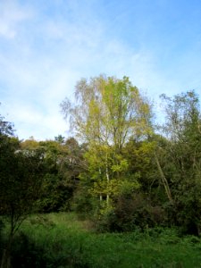 20141026Habsterwiesen_Saarbruecken01