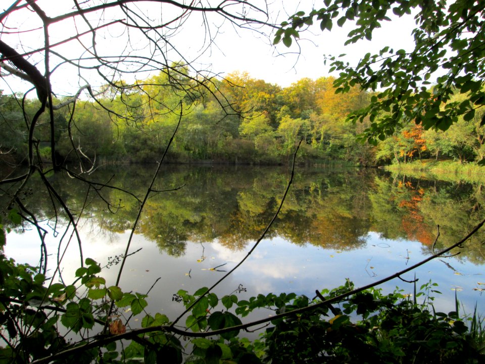20141026Drahtzugweiher1