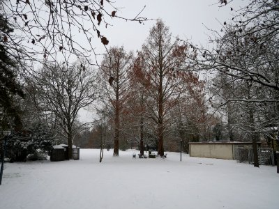 20141230Hockenheim6