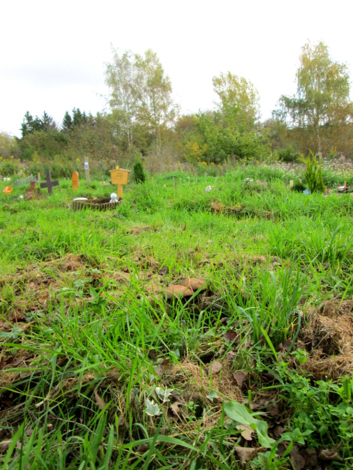 20141026Tierfriedhof_Saarbruecken1