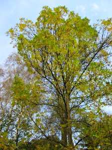 20141026Habsterwiesen_Saarbruecken02