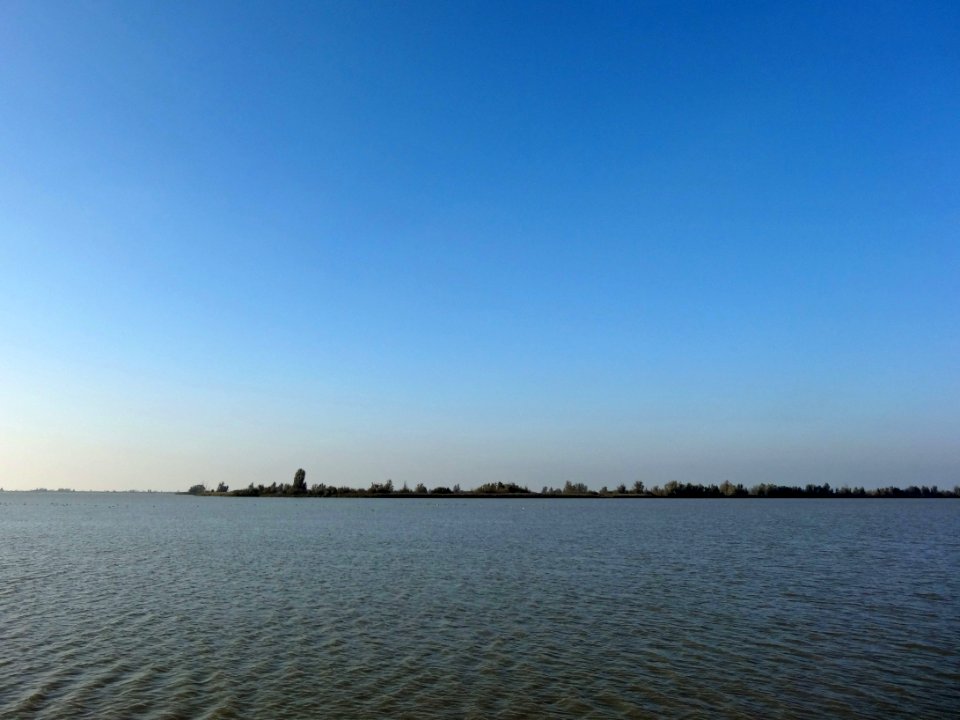 20141028_Oostvaardersplassen5