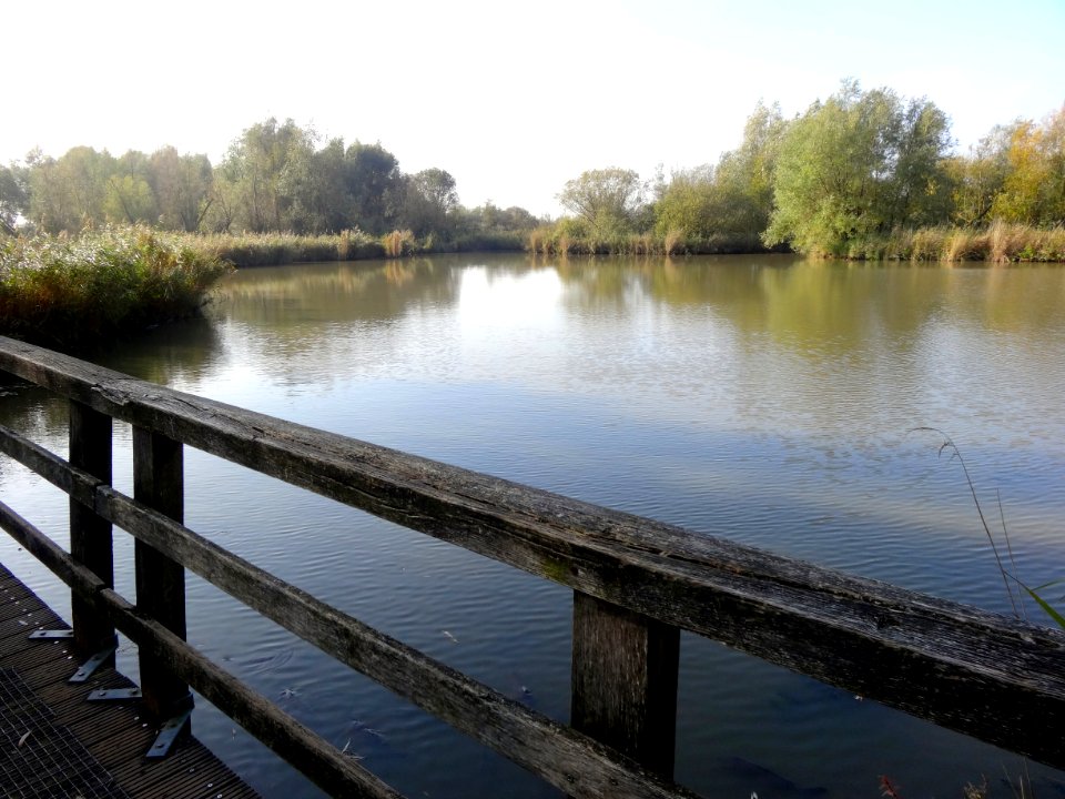 20141028_Oostvaardersplassen2