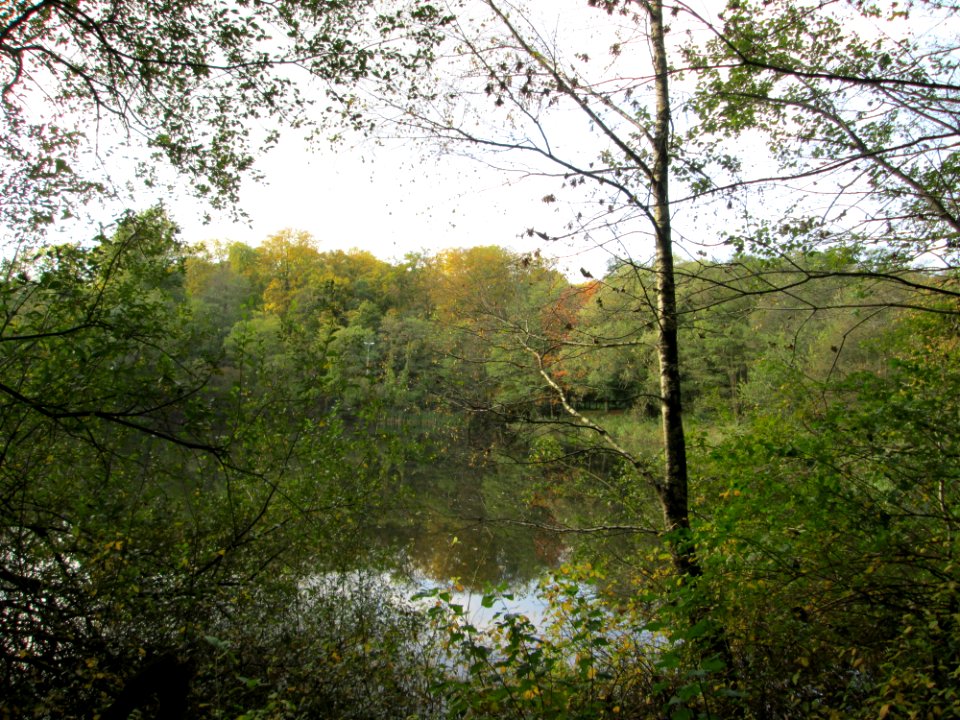 20141026Drahtzugweiher3