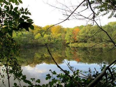 20141026Drahtzugweiher2